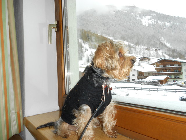 "ich bin ein Star, lass mich hier raus!" :-D