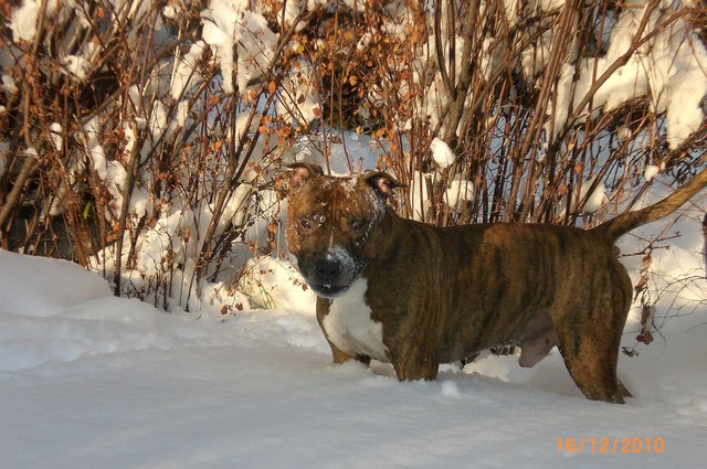 Liebling unserer Herzen