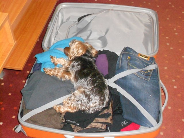 "Nicht, dass ihr mich noch vergisst!"