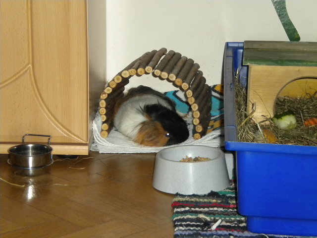 Mein "Schatzi" macht ein Nickerchen!