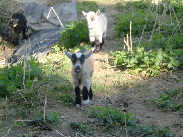 Wo ist wieder die Mama? :-)))