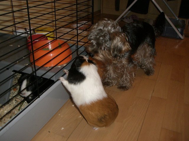 "Komm zum Besuch!" :-)))