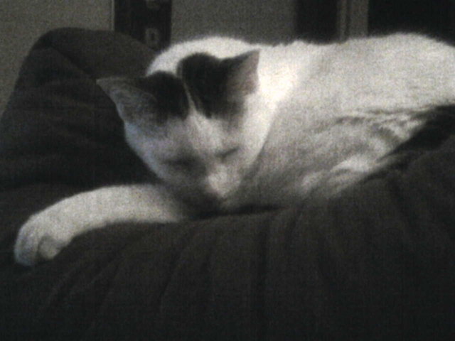 Da schlafe ich am liebsten