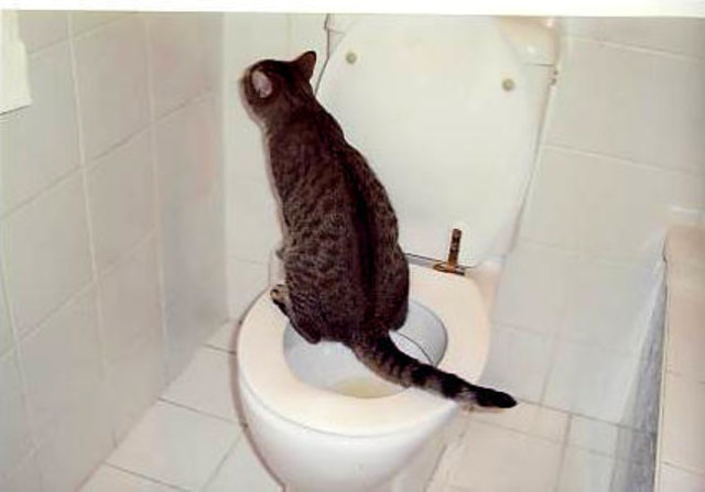 Xavi beim kleinen Geschäft