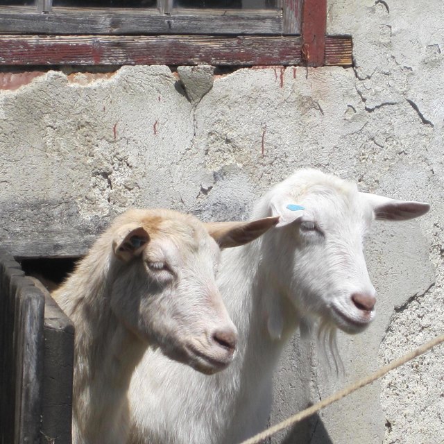 aha, es kommt Besuch