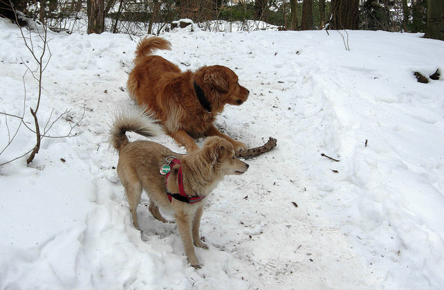 Freunde / Leopold & Luna