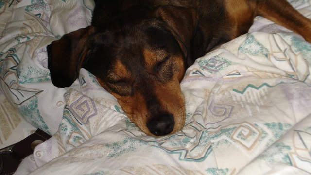 mein Lieblingsplatz ist das Bett