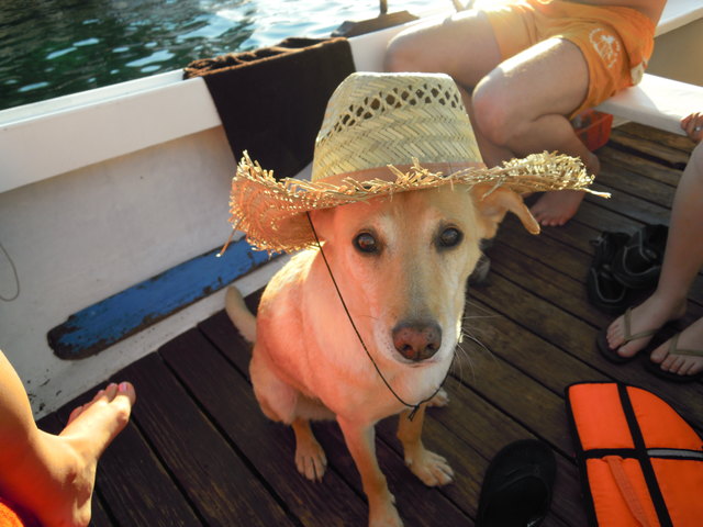 So ne Bootsfahrt die ist lustig .....