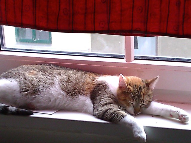 Meine zuckersüße Halja (2 jahre alt und extrem klein) ... 