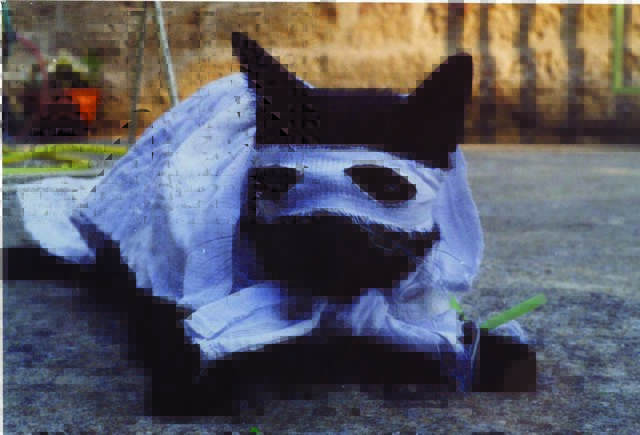 Helmut Perchut - Superheld