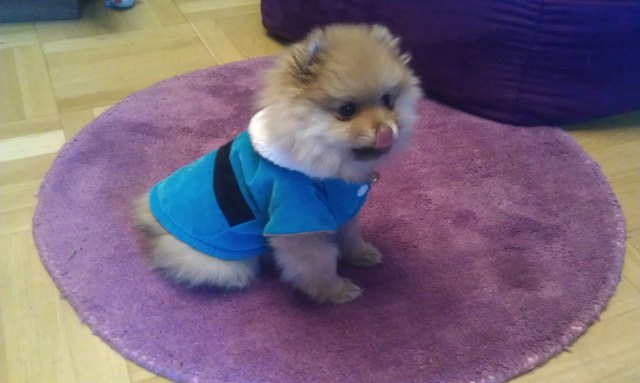 Ein Kilo Lilo (Little Lover ;))