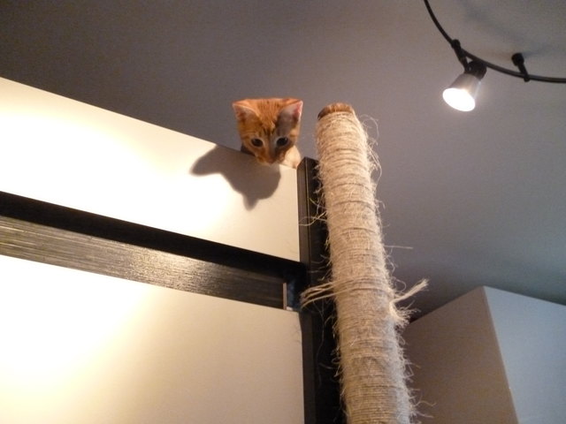 Was ist denn da unten los???:))