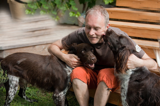 Münsterländer 3Jahre Bufi und Felix