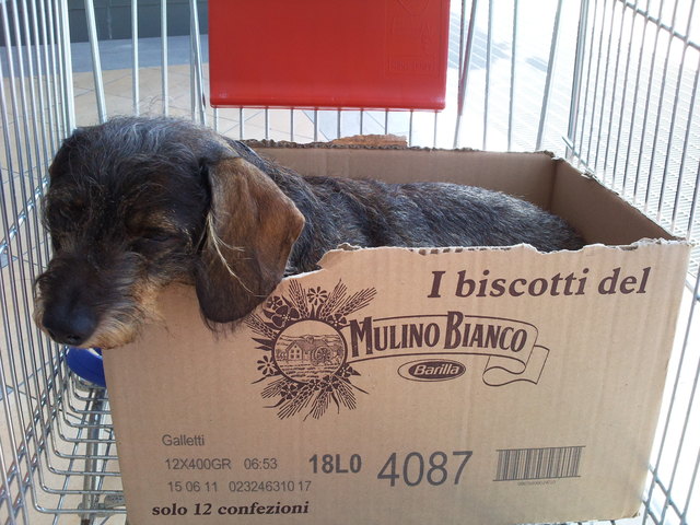 Grety als "Biscotti" im Supermarkt in Italien