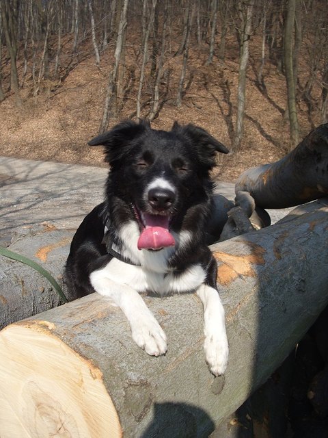 jojo beim sonne geniessen im winter =)