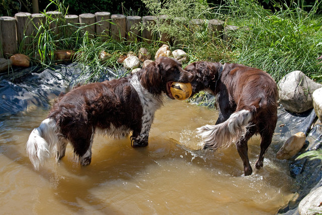 Badevergnügen im Garten Bufi Felix