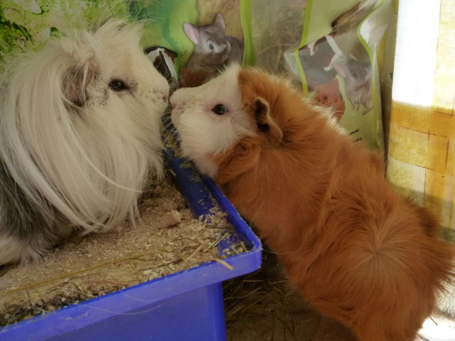 Da haben sich ja 2 gefunden:)))