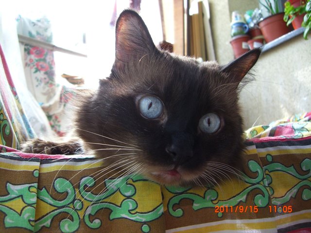 Mein großes Babylein:)