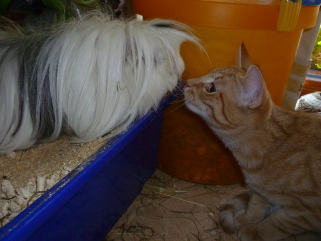 Da kommen sich ja 2 näher:))