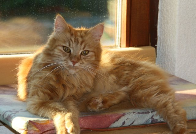 Höre auf BAUXI oder auch nicht !!