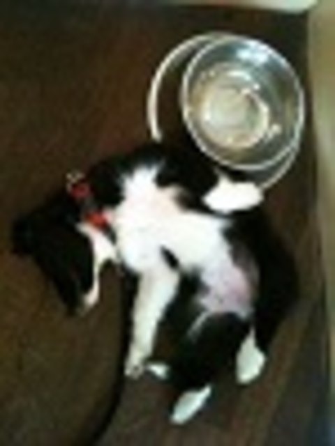 essen ist anstrengend ;)