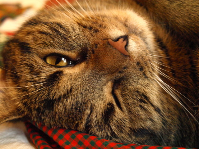 I have my eye on you!