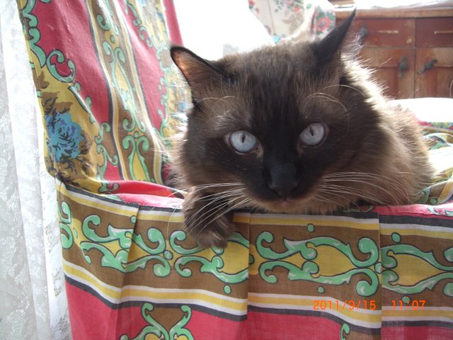 mein großes Babylein