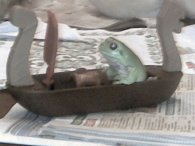 Fridolin der Seefahrer