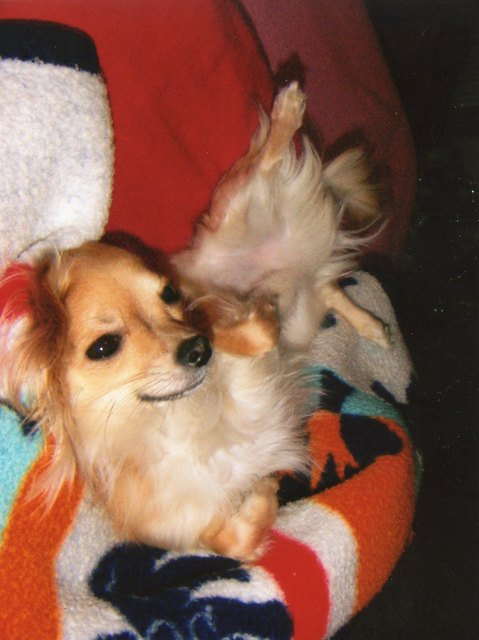 SAKIN ENTSPANNT SICH