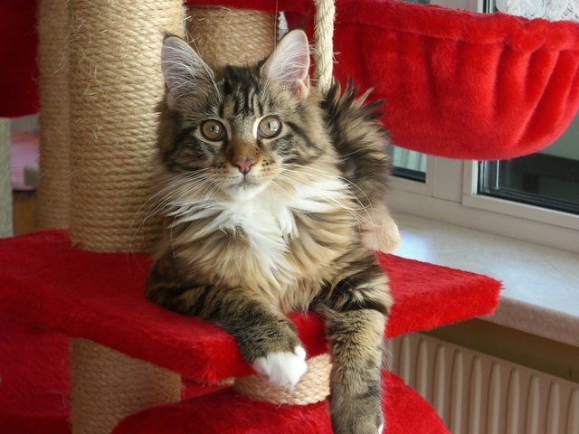 .... und so sieht unsere Cindy heute aus