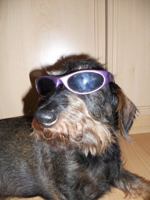 Leopold von Kiepenkerl