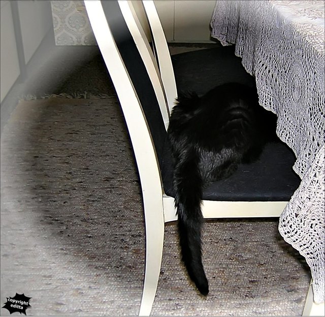 ..... ich bin trotzig!