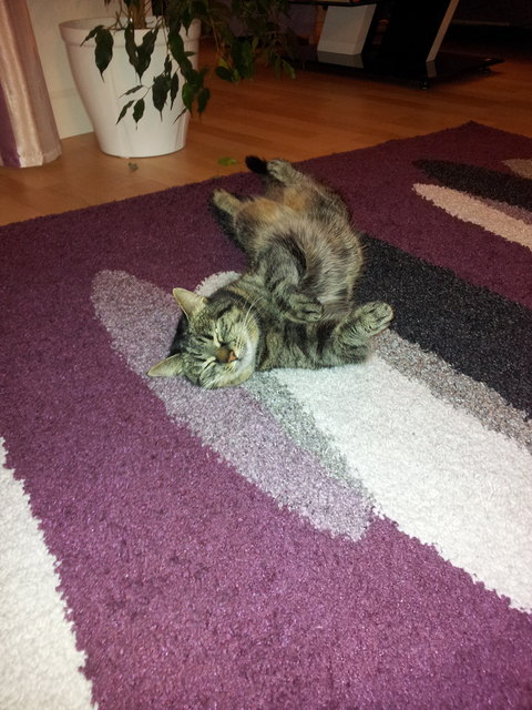 Yoga und pilates Abend :-)