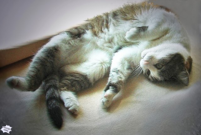 ... mein Lieblingsplatzerl ...