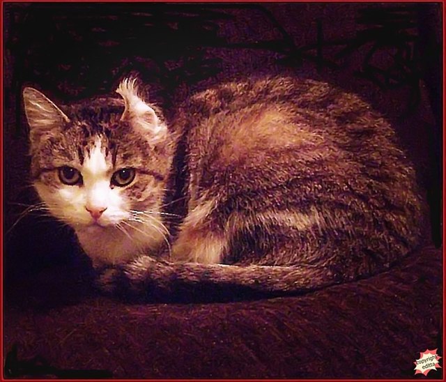 Ich war Modell bei Dürrer!