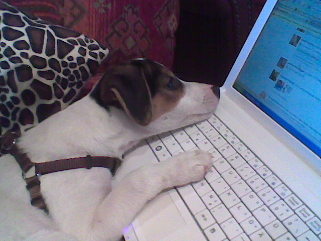 Mercedes ist begeisterte facebookerin, manchmal schläft sie dabei ein.