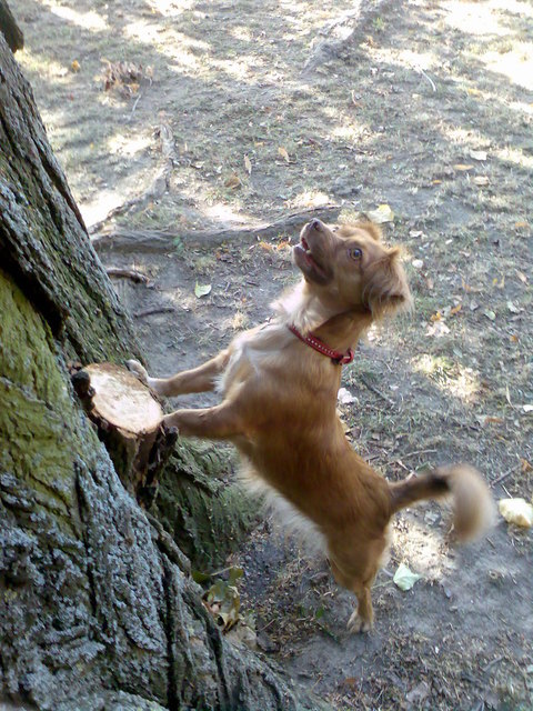 Nanu, was ist da oben los?