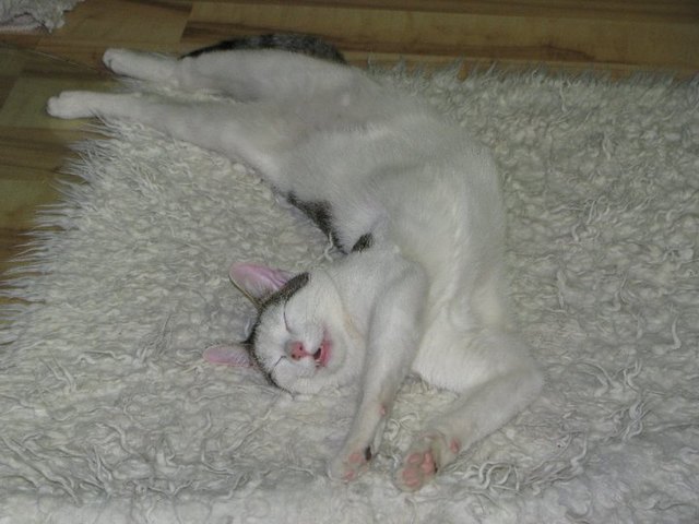 entspanntes schlafen