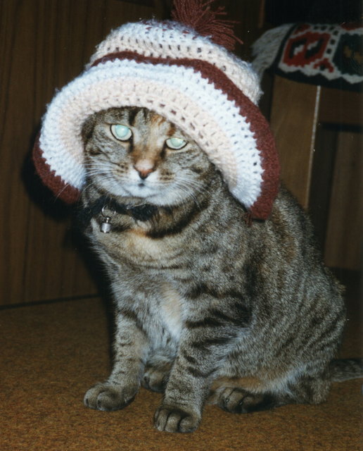 warm anziehen bei diesem Wetter!