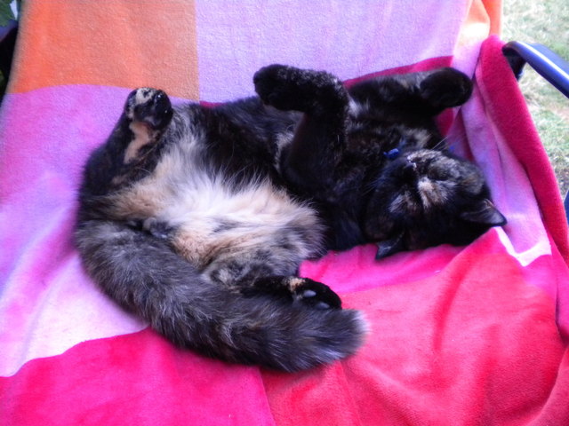 Wann wird es endlich wieder Sommer...fragt sich Mossua