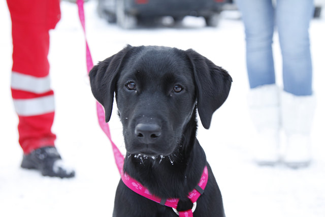 Unsere süße Maus "Ciara"