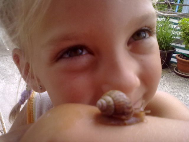 Schnecke