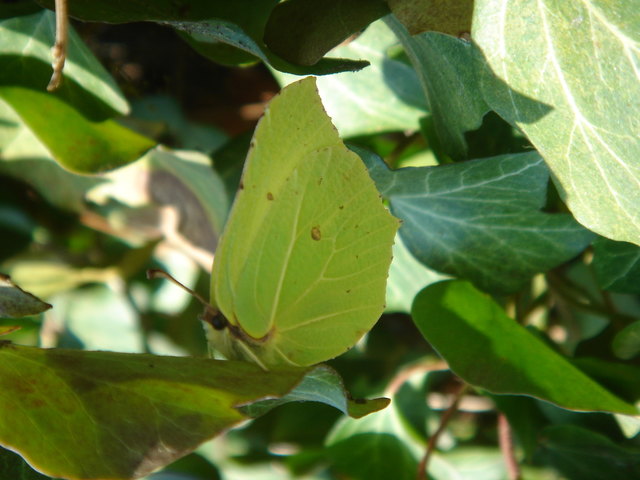 Nur wenn Du genau hinsiehst, siehst Du ihn auch ;)