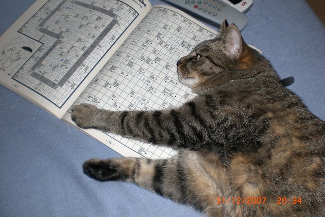 "Ich kann nicht mehr" - Erschöpft vom Rätselraten