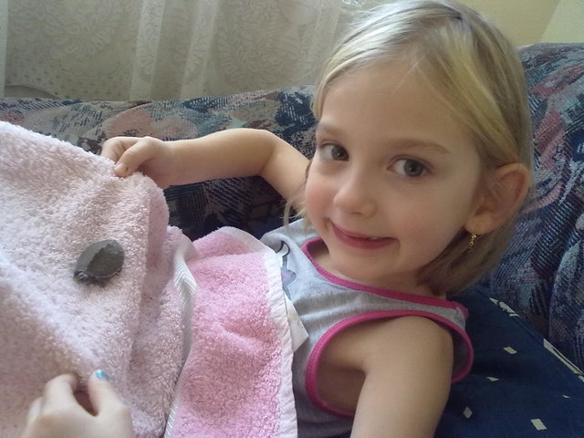 Rotwangenschildkröte