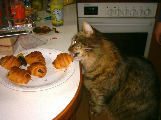 auf frischer tat erwischt!