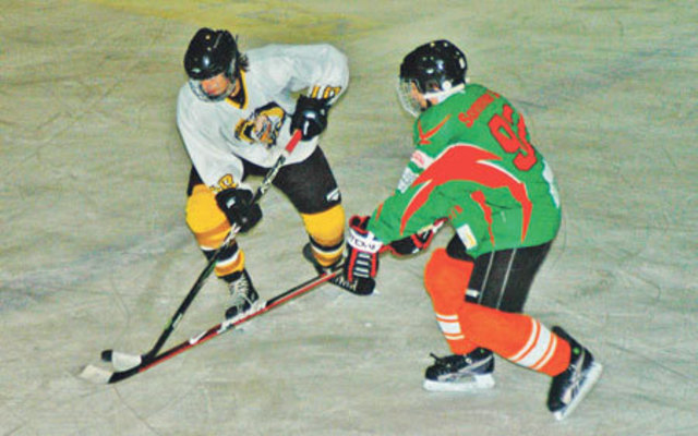 Wiedersehen im Derby: Die Feldbacher Ducks und die Teichpiraten aus St. Stefan treffen in den Play-offs aufeinander.