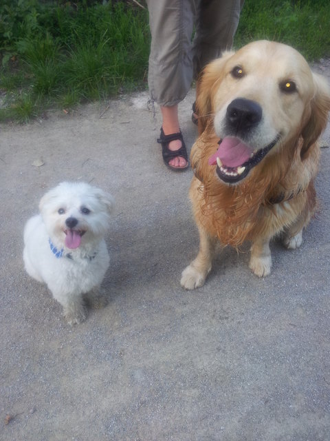Sam & Rocky....beim Wandern :-)