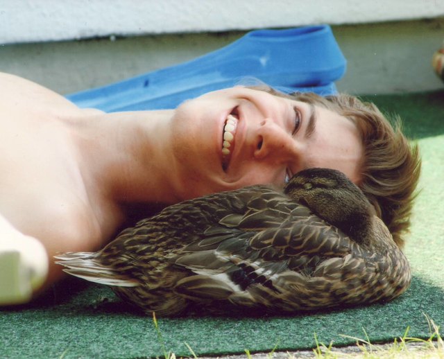 Unsere Wildente DiDi mit ihrem Großen Bruder