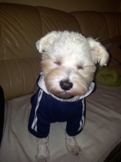 ....da ist aber jemand müdeeee nach dem Sport :-)) !!!